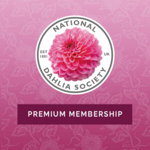 Premium Membership