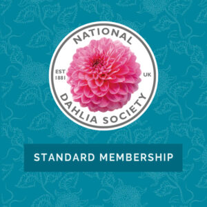 Standard Membership
